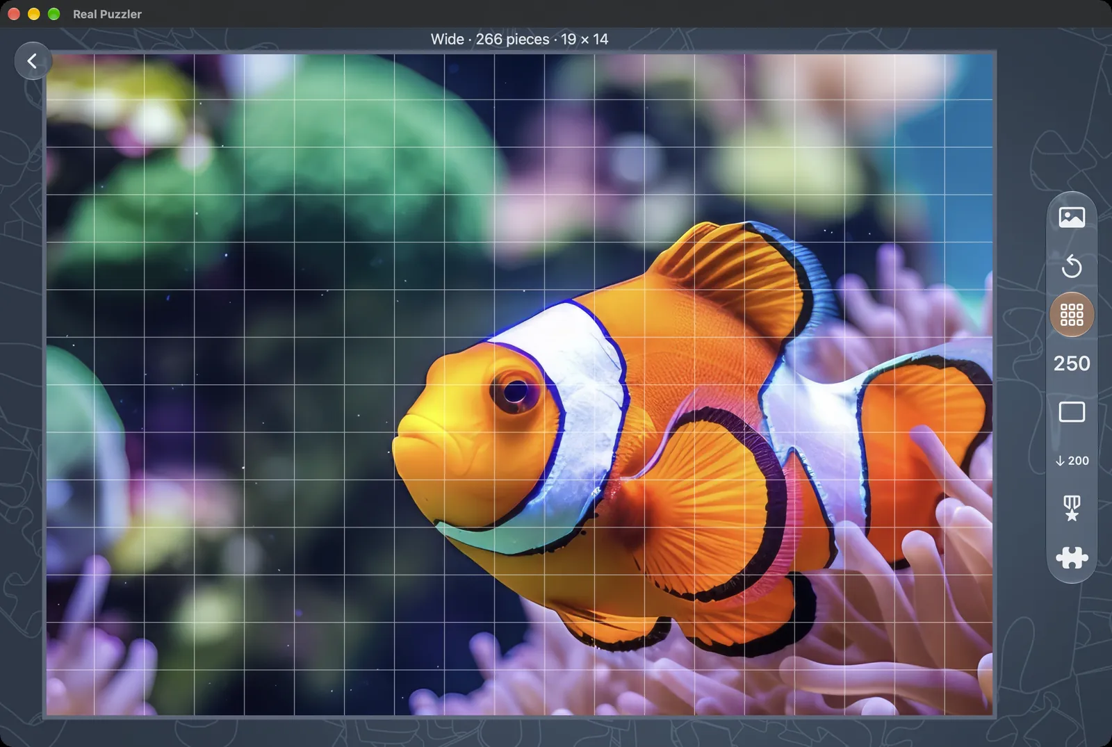 The Create window on Mac, showing a clownfish picture on a grid with the layout and piece-count controls