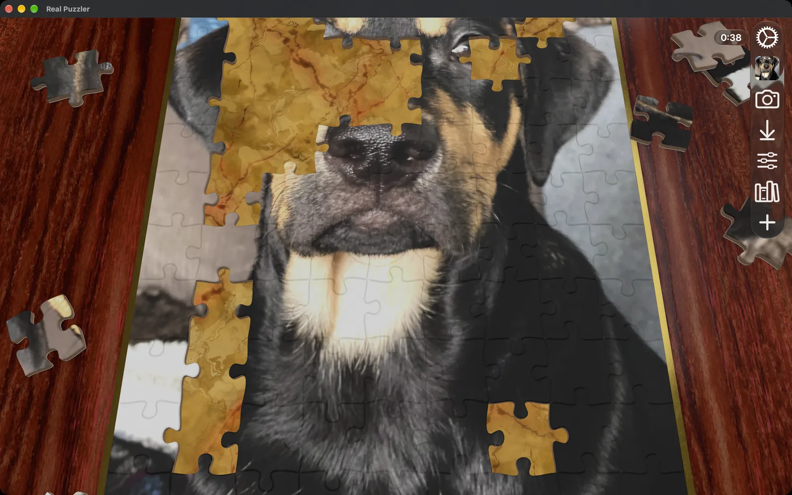 A close view of a dog puzzle being assembled on a dark red wood board in a Mac window